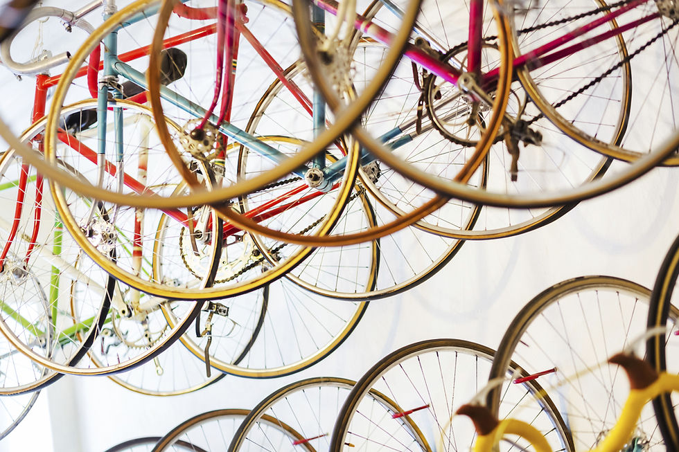 Bicycle Rental Store